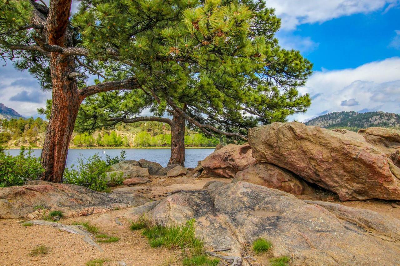 Apartamento The Pine Cone - Permit #3255 Estes Park Exterior foto